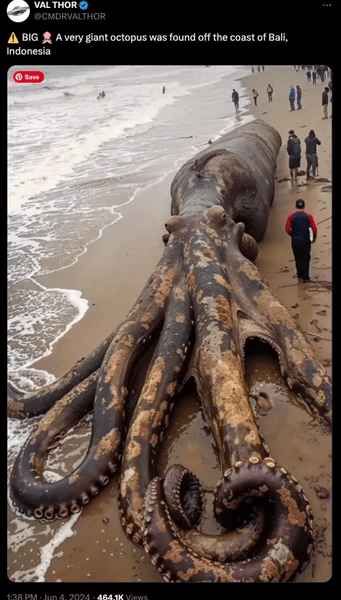 Огромный осьминог, проверка фактов, гигантский осьминог, фейк, выбросило на пляж, ИИ, вирусное фото, соцсети, щупальца осьминога, морское существо