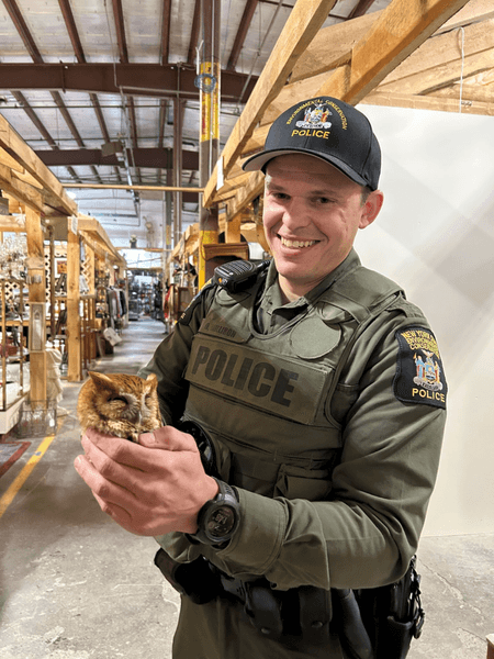 сова магазин