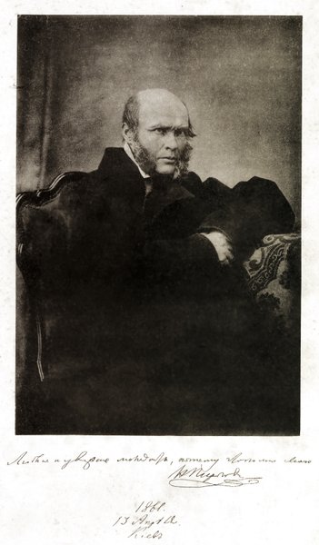 Портрет  Н. И. Пирогова