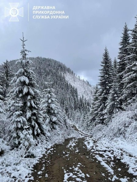 сніг, Карпати, гори, гора Піп Іван Чорногірський