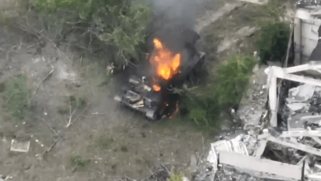 уничтоженный тюльпан