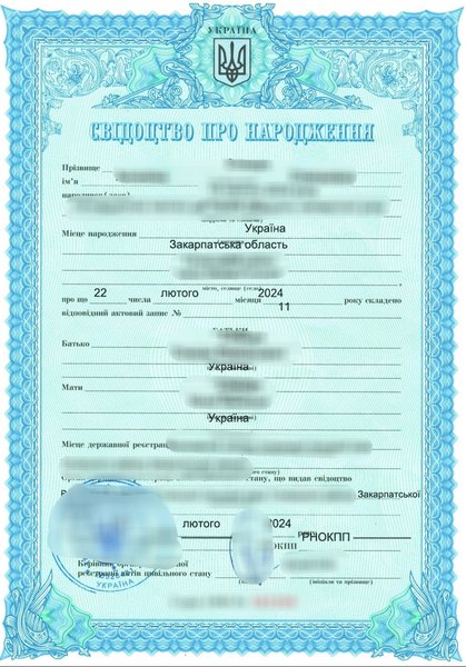 ДПСУ, 27 лютого, перетин кордону, мобілізація, ухилення