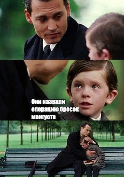 Бросок мангуста