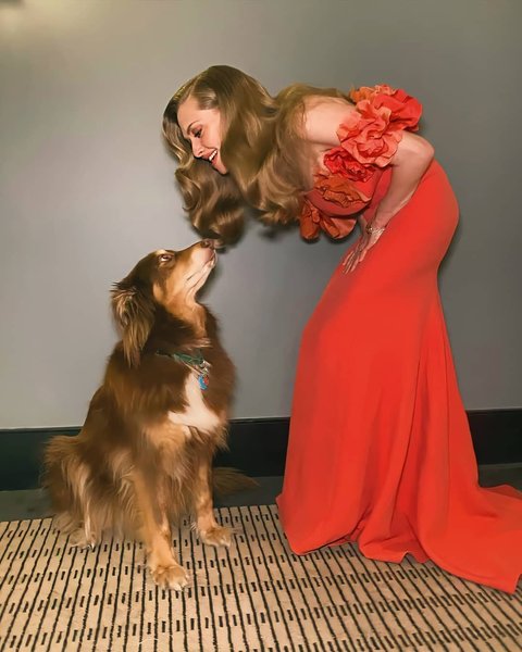 Аманда Сейфрид в Oscar de la Renta, золотой глобус