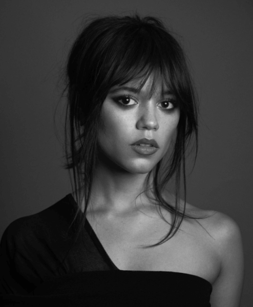 Чубчик Біркін Чубчик Біркін