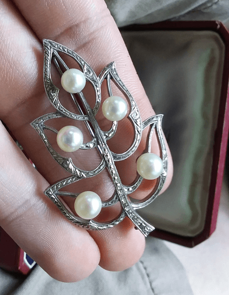 Чоловік зі США купив рідкісну брошку з платини, прикрашену справжніми морськими перлами, всього за 10 доларів