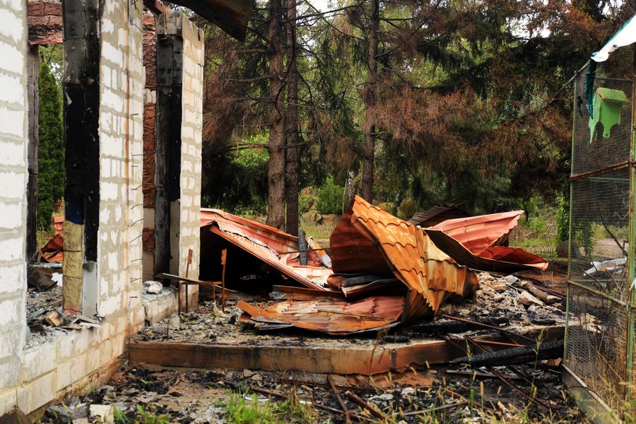 Фельдман Екопарк, екопарк харків, екопарк фельдмана, зоопарк фельдмана, фельдман