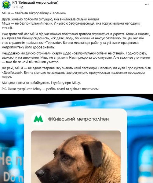 Пса Мішу не пустили в метро під час повітряної тривоги