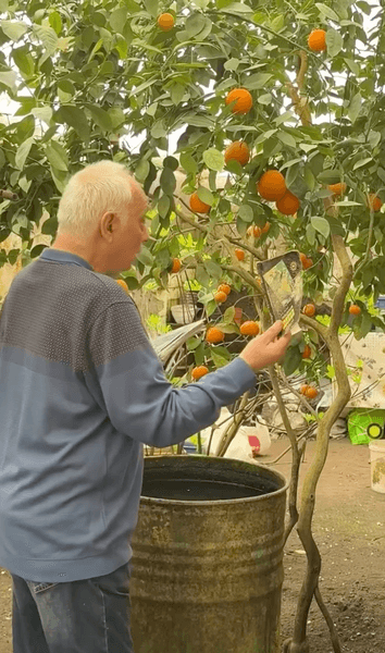 Анатолий Патий