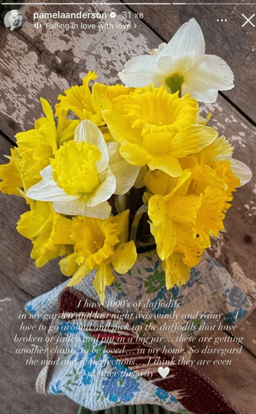 Памела Андерсон показала свої квіти