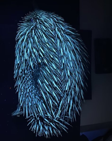 ультрафіолет ехидна