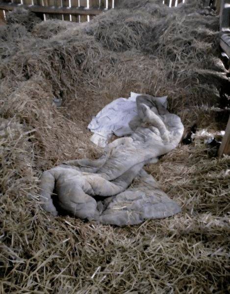 Човек се криеше в купа сено Мъж се криеше в купа сено, не плащаше издръжка, криеше се в сеното, под одеяло, намерен в сеното, арестуван, вкаран в затвора