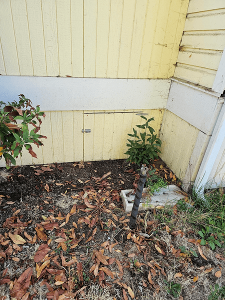 Вход в подвал, подвал, незнакомка жила в подвале, незаконный житель в доме, люди жили в подвале, помогла незнакомке