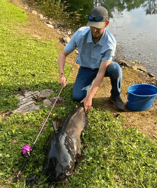 Мужчина поймал рекордного сома, канальный сом, рекордный улов, рыбак, рыба, сом, огромная рыба, большой сом