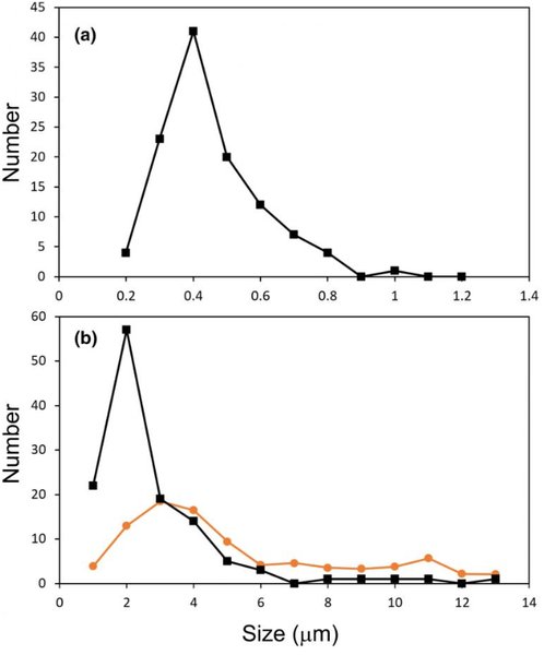 астероид, жизнь в астероиде, жизнь астероид