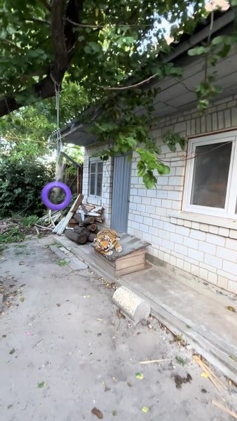 Двор, дом в селе на Киевщине