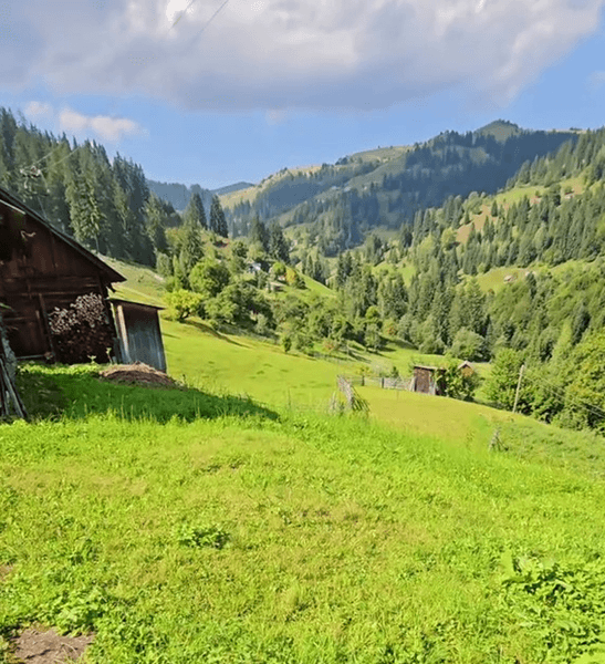 Дом в Карпатах