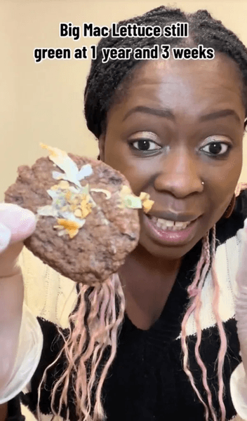 Женщина год хранила гамбургер, Биг Мак, McDonald's, зеленый салат, не стал бы это есть, еда из McDonald's, фастфуд, хранила в холодильнике