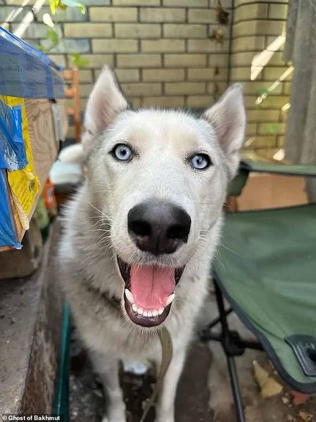 Антидепрессант