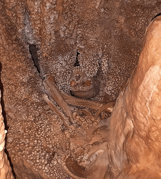 смерть, останки, находка, археология, скелет, пещера, древние люди, альтамурский человек, неандерталец, окаменевший скелет, пещера Ламалунга, воронка, пещерный попкорн, кальцит, влажная среда