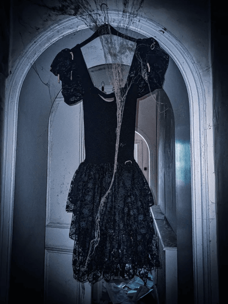 Покинутий особняк, будинок, руїни, житло, нерухомість, розкішне житло, розграбували вандали, цінні речі, курйози, фотограф