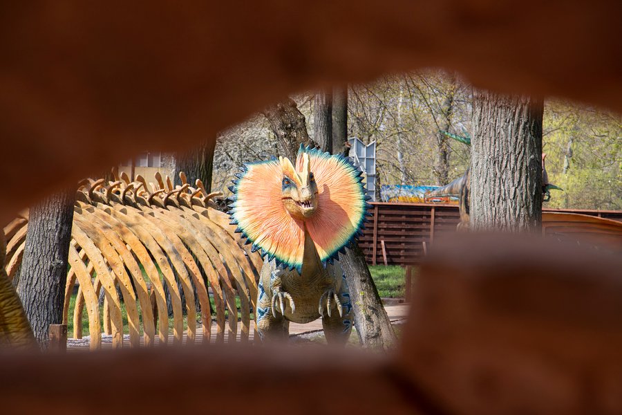 У Парку динозаврів