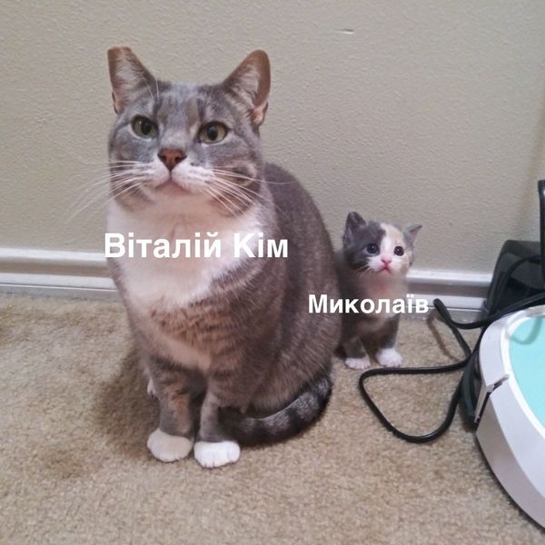 виталий ким мемы, виталий ким николаев, виталий ким на позитиве, виталий ким николаевская ога