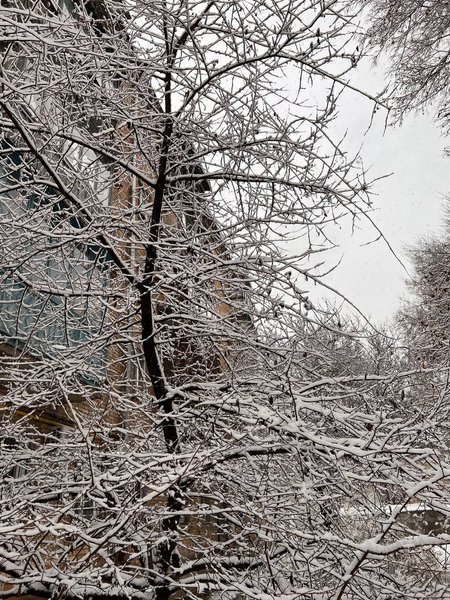 Київ, снігопад, негода, прогноз погоди