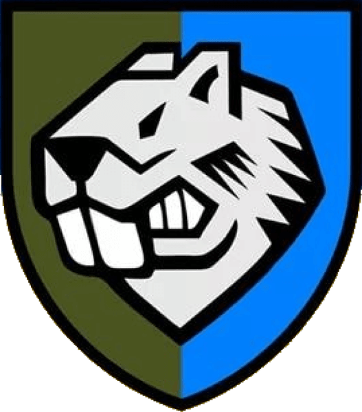 Нарукавный знак воинской части А3955