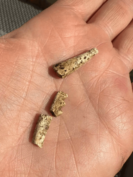 Рыболовные крючки Рыболовные крючки и кости. Выемки на рыболовном крючке посередине держали леску на месте