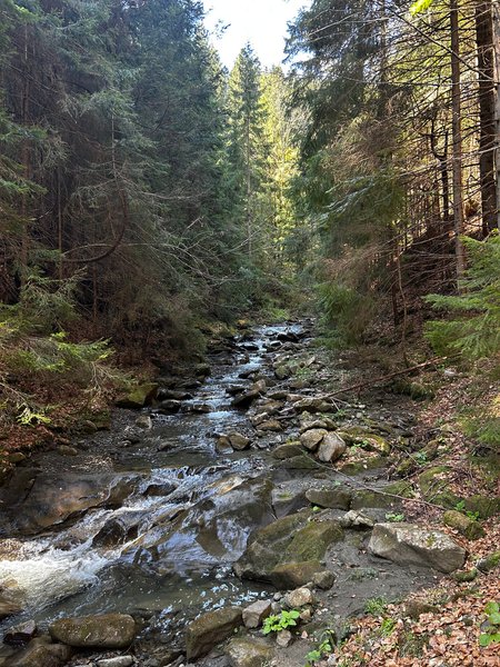 Селище Ворохта, струмок в горах