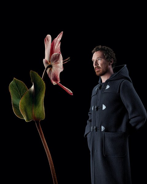 Бенедикт Камбербэтч, Prada