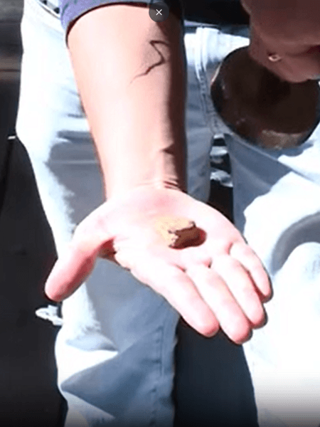 Сім'я думає, що знайшла уламок метеорита, метеорит, уламок метеорита, камінь, притягується магнітом, пожежа, пошкодив терасу