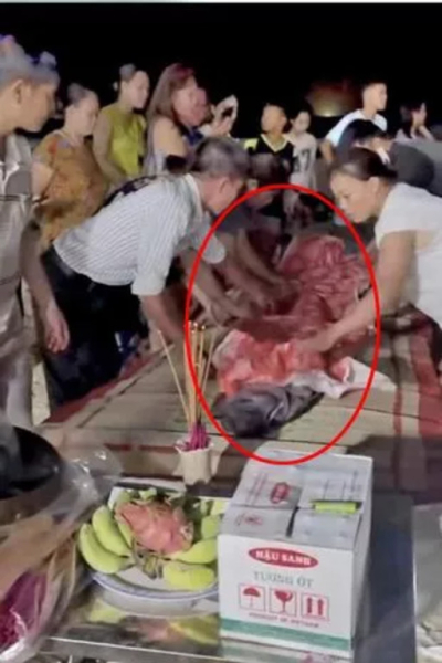 Риба гребло, огромна риба Риба гребло, огромна риба, крал херинга, предвестник на природни бедствия, риба от земетресение, изхвърлена на брега,