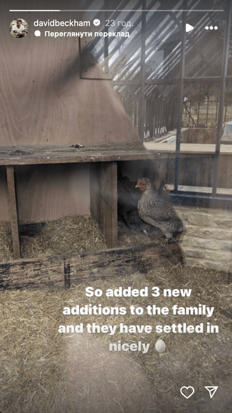 Ферма Дэвида Бекхэма