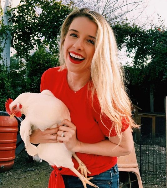 Мелиса Шуман Мелиса Шуман, Мечта, Ник Картър, Изнасилване