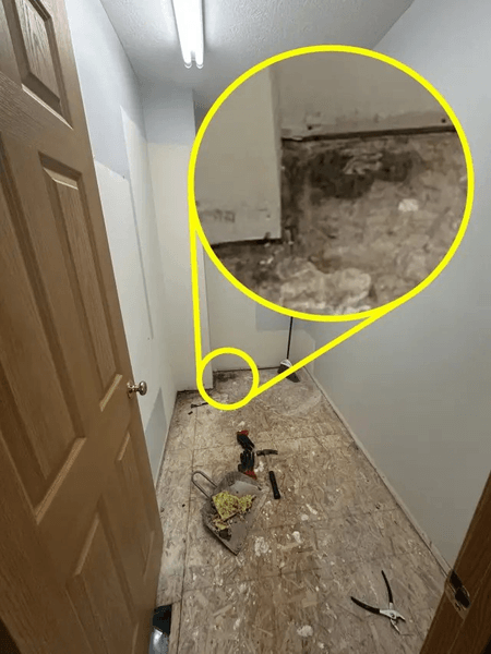 Плесень в доме