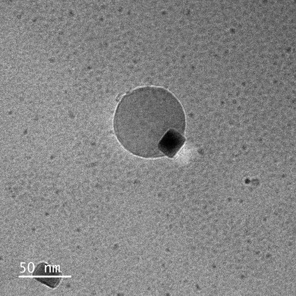 палладий вода