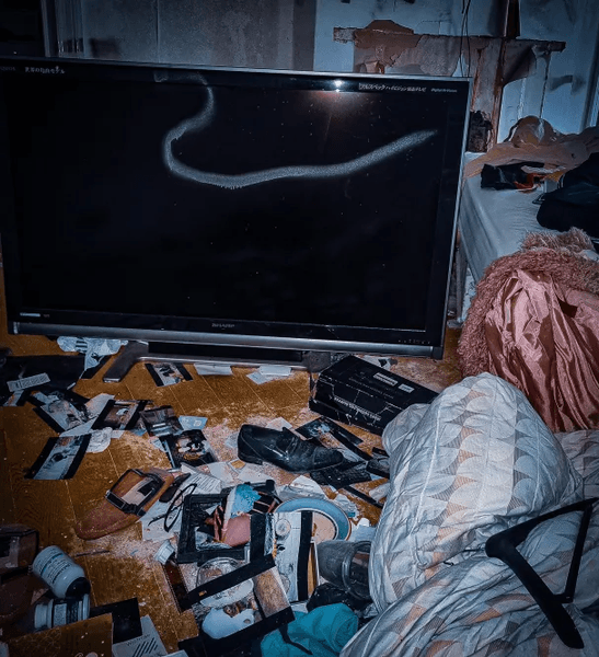 Покинутий особняк, будинок, руїни, житло, нерухомість, розкішне житло, розграбували вандали, цінні речі, курйози, фотограф