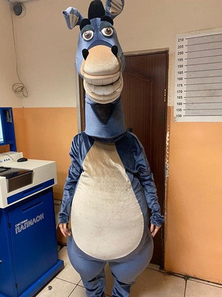 сочи, аниматоры, задержание, вымогательство, попрошайки, россия, попрошайничество, арест, матерились, нецензурная брань