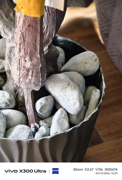 Приклади фото Vivo X300 Ultra