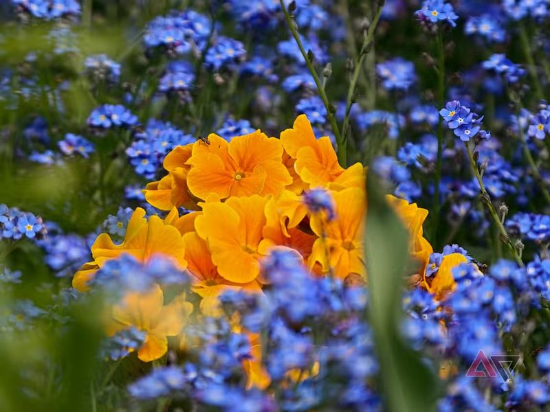 Oppo Find X9 Ultra приклад фото