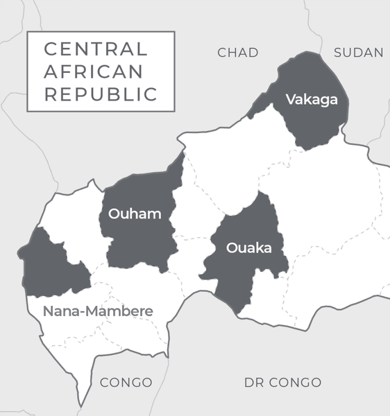 Вагнер, золото, Африка, ЦАР, Судан, Мали, бизнес, Кремль, санкции, обход санкций