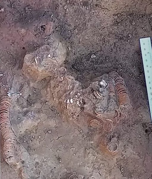 золотые кольца, почва, фото