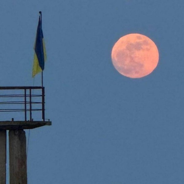 рожевий місяць, повня, квітнева повня