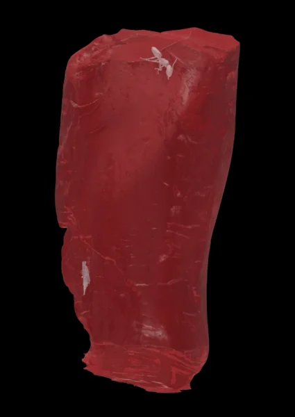 Янтарь принадлежал Гете