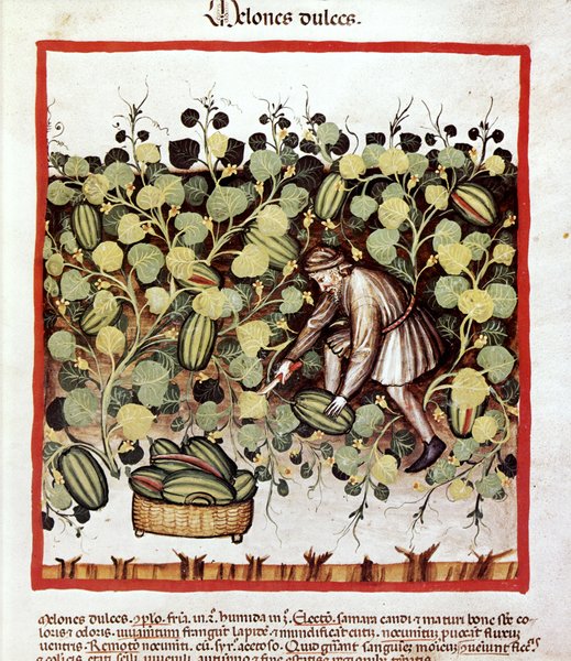 фото, средневековый трактат о здоровом образе жизни 