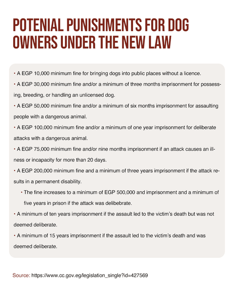 Штрафы для владельцев собак в Египте