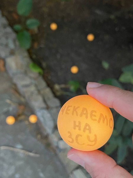 Лови подачу, теннисный мяч, Крым