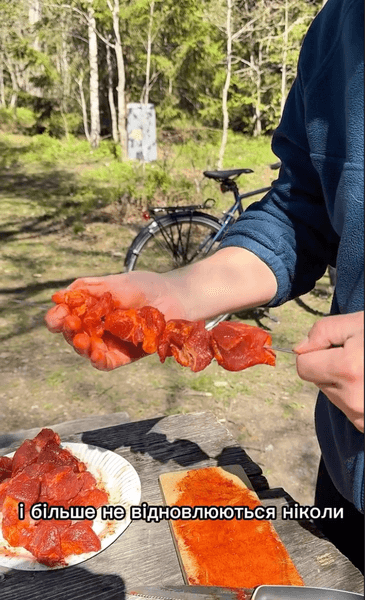 шашлыки в Швеции